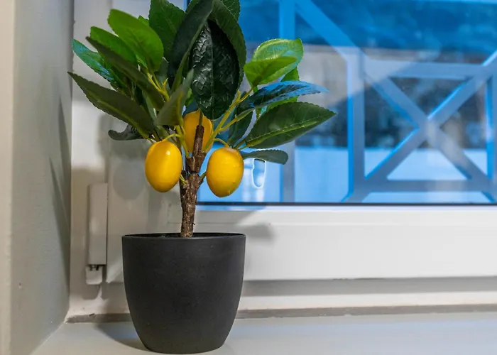 Silva Apartment Lisbon