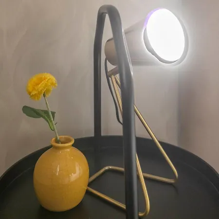 Silva Apartment *